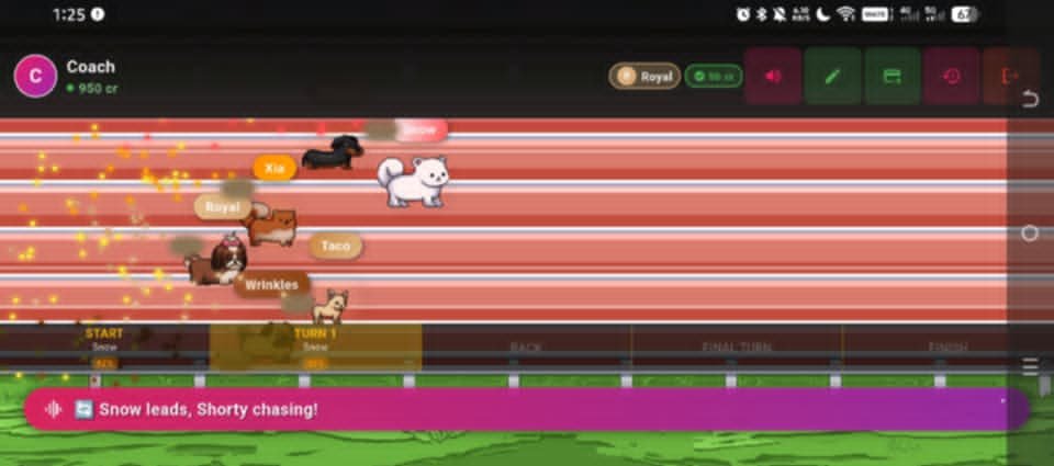 Dog Race Pixel Game
